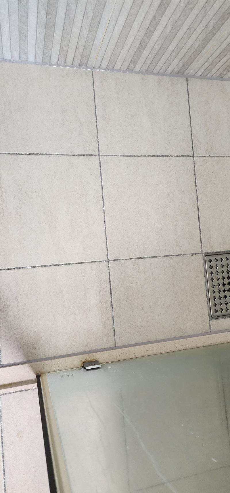 235149625_e6UWbZrx_45e122ed2bf69331fb65fb3451ddd647799e21cf.jpg 이미지크게보기